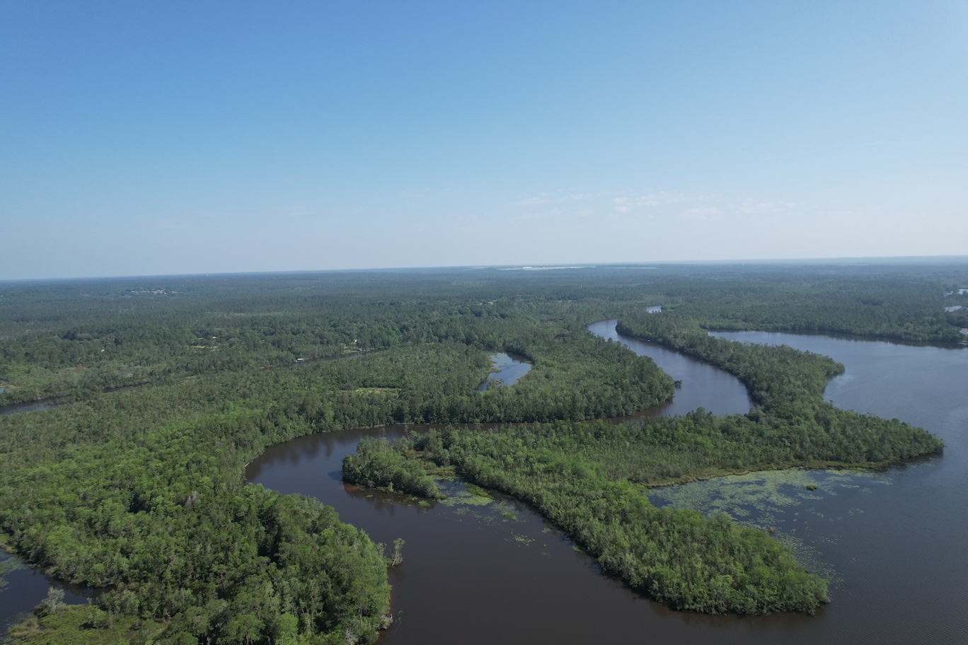 4.27 Acres of Waterfront on the Blackwater River